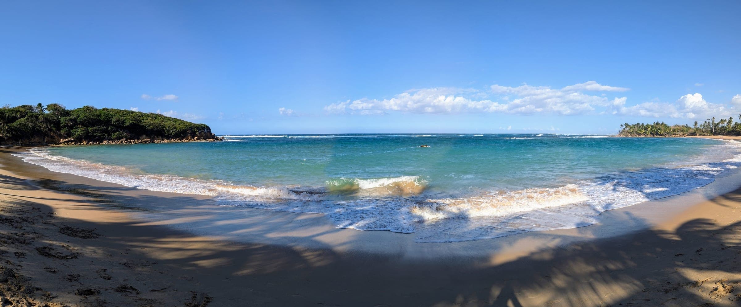 Ground-level panorama of the community beach, with palms framing a turquoise cove
